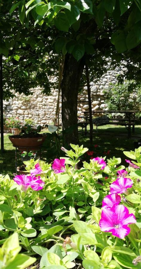 Agriturismo San Giovanni Ad Insulam Isola del Gran Sasso dʼItalia Exterior foto